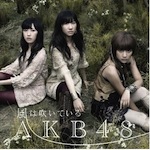 AKB48「風は吹いている -Type B- (Single)」